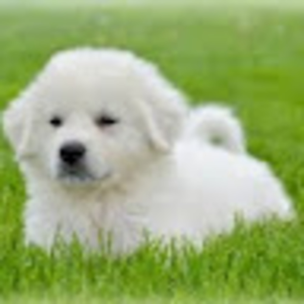 Meet your Posher, Abbilyn